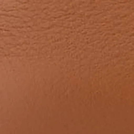 Comfortable Women's Ornamented Driver in Tan Leather